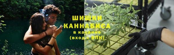 ешки Алексин