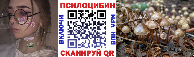 что такое Тотьма Псилоцибиновые грибы мухоморы